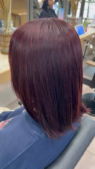ショート カラー 透明感/艶感/ハイ トーン/HIKARUのヘアスタイル