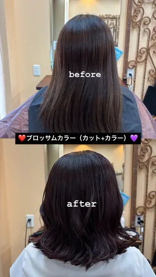 ミディアム カラー 🪺SAKURA/ ハイトーンカラー🩶のヘアスタイル