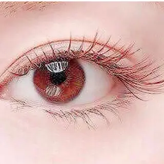 マツエク・マツパ 🌸Leviju桂店 店長Saki🌸のヘアスタイル