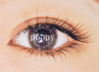 マツエク・マツパ POPPY eyelash 川崎本店所属・モデル募集 POPPY 川崎のマツエク・マツパデザイン