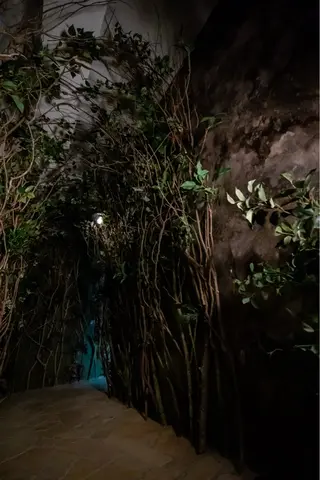 森の雨やどり☔︎ 岸川朋実のエステ・リラクイメージ