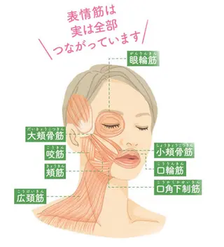小顔コルギ＆よもぎ蒸しサロンLINKA所属・小顔＆美肌 サロンLINKAのエステ・リラクイメージ