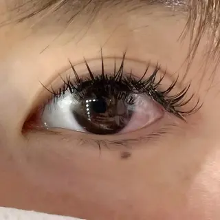 マツエク・マツパ Celeste Venus所属・🧸Celeste Venusのマツエク・マツパデザイン