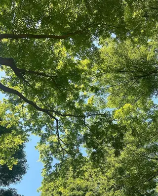 カラー パーマ ヘアアレンジ GOTODAY SHAiRE SALON (原宿本店)所属・stylist 🎀 kanaのその他イメージ