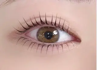 マツエク・マツパ アレグレス所属・アレグレス@池袋 🌹大人気店🌹のマツエク・マツパデザイン