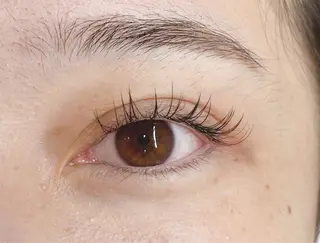 マツエク・マツパ mallow所属・mallow🤍 sakiのマツエク・マツパデザイン