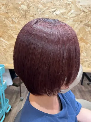 ショート カラー 【髪質改善都賀】 chisatan🍊のヘアスタイル