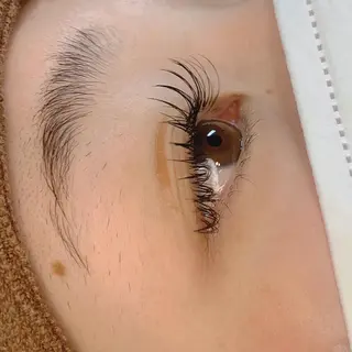 マツエク・マツパ Celeste Venus所属・🧸Celeste Venusのマツエク・マツパデザイン