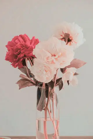 村田 茜のマツエク・マツパデザイン