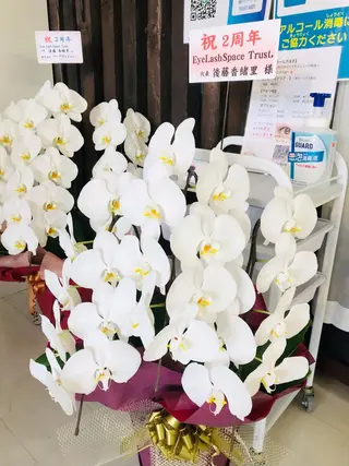 パーマ マツエク・マツパ アイブロウ EyeLashSpace Trust.所属・アイラッシュスペース トラスト川越のマツエク・マツパデザイン