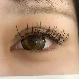 マツエク・マツパ Celeste Venus所属・🧸Celeste Venusのマツエク・マツパデザイン