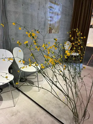 セミロング カラー パーマ キッズ デザインカラー 原宿/キシタのヘアスタイル