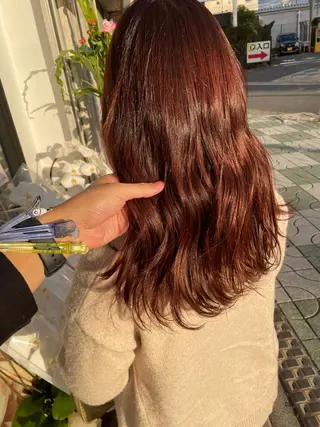 セミロング hair terra ce M奈良店のヘアスタイル