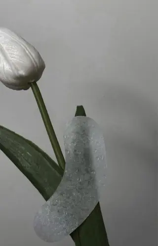 マツエク・マツパ eyelly🌿 nanaのマツエク・マツパデザイン