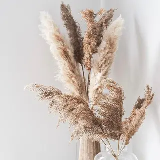 マツエク・マツパ miien(SALONVILLAGE内)所属・MOE /渋谷・明治神宮前のマツエク・マツパデザイン