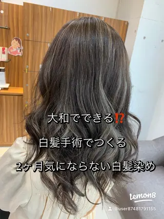 セミロング カラー 白髪ぼかしハイライト 柳川拓哉のヘアスタイル