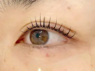 マツエク・マツパ アルターエクラ 飯島のマツエク・マツパデザイン