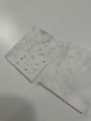 セルフエステエンリケ明石大久保店所属・夕希リンパ&痩身& 脱毛&毛穴ケアのエステ・リラクイメージ