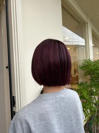 ショート 長尾ゆりの/ボブ/ ベージュ/ハイトーンのヘアスタイル