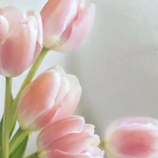 eyelash ukのマツエク・マツパデザイン