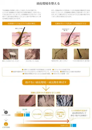 メンズ エステ.まつげ.小顔 眉毛.プラズマ.脱毛のマツエク・マツパデザイン