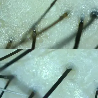 ゴトウ エイイチのヘアスタイル