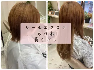 白髪ぼかしハイライト 着付けヘアアレンジのその他イメージ