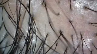 五十嵐 蓮のその他イメージ