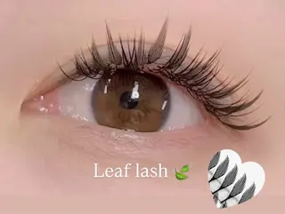 マツエク・マツパ eminy lash 【エミニーラッシュ】のマツエク・マツパデザイン