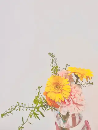 Largo🌿 明治神宮前/表参道のマツエク・マツパデザイン