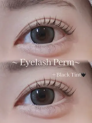 マツエク・マツパ eyelist SHIONのマツエク・マツパデザイン