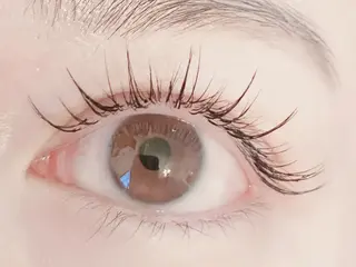 マツエク・マツパ 束感まつげ💎 マツエク💎渋谷のマツエク・マツパデザイン