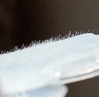 メンズ Smoo アユミの眉毛・アイブロウイメージ