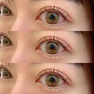 ãããšã¯ã»ããã EARTH âð€ ã·ã©ã€ã·ã®ãããšã¯ã»ããããã¶ã€ã³