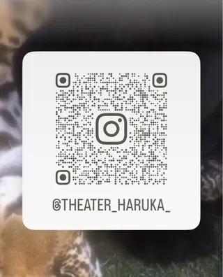 ロング カラー 艶カラー🪄🪽 haruka🪽のヘアスタイル