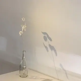 ð¿ð²ðŒð»ð® ðŠŠð ððžã®ãããšã¯ã»ããããã¶ã€ã³