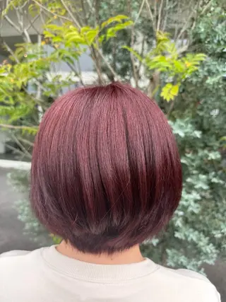 ショート カラー 艶、デザインカラー KAORI🌼のヘアスタイル