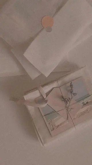 ð¿ð²ðŒð»ð® ðŠŠð ððžã®ãããšã¯ã»ããããã¶ã€ã³