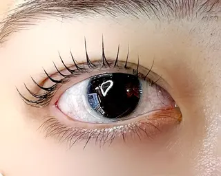 マツエク・マツパ Celeste Venus所属・🧸Celeste Venusのマツエク・マツパデザイン