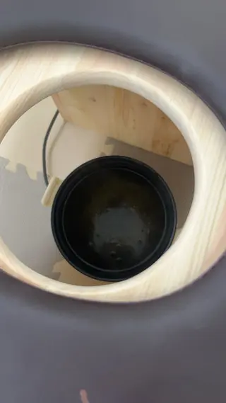 Luminous ⭐︎のネイルデザイン