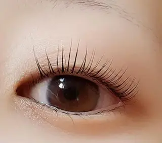 マツエク・マツパ Anela 🦋HARUMIの眉毛・アイブロウイメージ