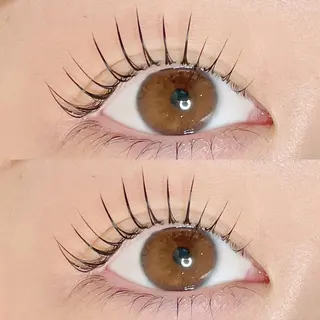 マツエク・マツパ AYLASH🧡 猪又のマツエク・マツパデザイン