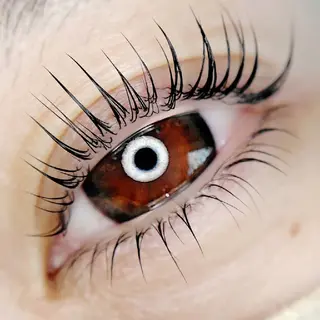マツエク・マツパ まつげパーマ専門店 Lash style by TONE所属・まつげパーマ専門店 Lash styleの眉毛・アイブロウイメージ