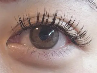 マツエク・マツパ L.eyelash&Beauty所属・エル アイラッシュのマツエク・マツパデザイン
