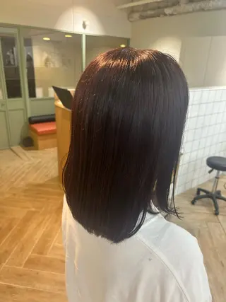 ミディアム カットモデル募集/ 万代/関谷　朋実のヘアスタイル