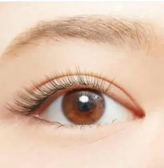 ãããšã¯ã»ããã SAEGUSA .âðð æ¡æšçºã®ãããšã¯ã»ããããã¶ã€ã³