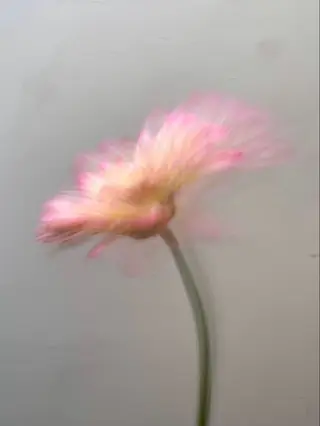 オト/レイヤー/ Wカラーのヘアスタイル