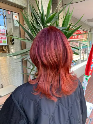 ミディアム カラー 🤍透明感/韓国風 🤍サクラギヒトミのヘアスタイル