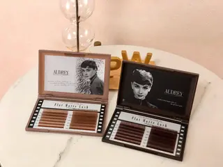 パーフェクトウィンク ちぢいわみのりのマツエク・マツパデザイン