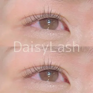 マツエク・マツパ DaisyLash 京橋店のマツエク・マツパデザイン